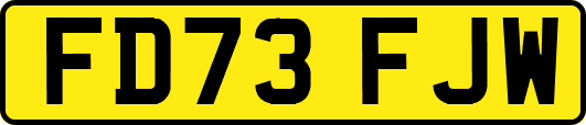 FD73FJW
