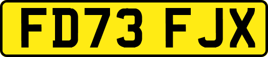 FD73FJX