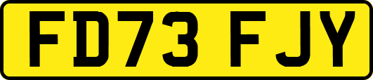FD73FJY
