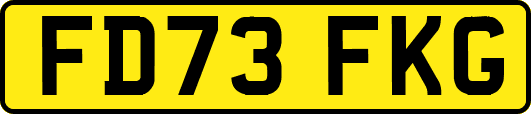 FD73FKG