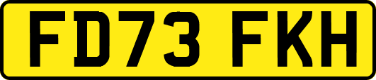 FD73FKH