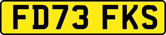 FD73FKS