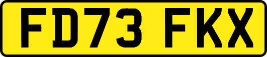 FD73FKX