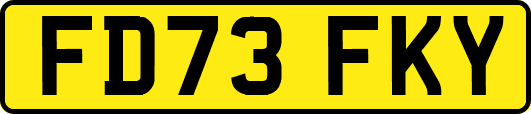 FD73FKY