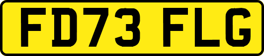 FD73FLG