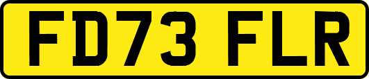 FD73FLR