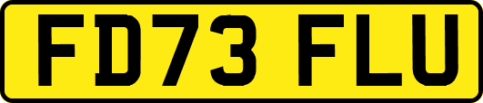 FD73FLU