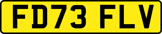 FD73FLV