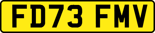 FD73FMV