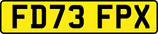 FD73FPX