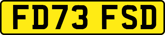 FD73FSD