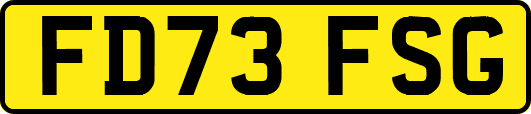 FD73FSG