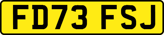 FD73FSJ