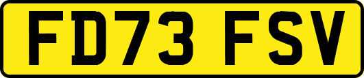 FD73FSV