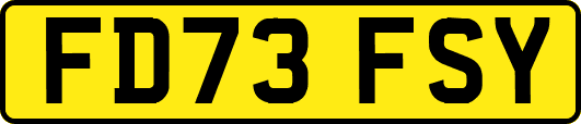 FD73FSY