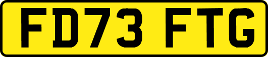 FD73FTG