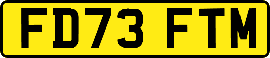 FD73FTM