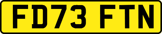 FD73FTN