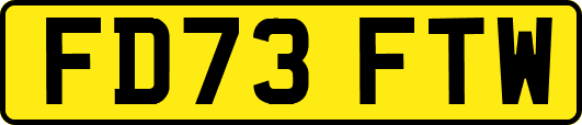 FD73FTW
