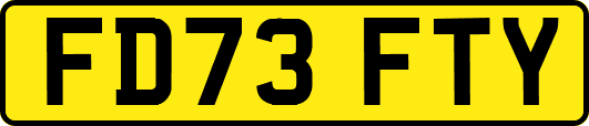 FD73FTY