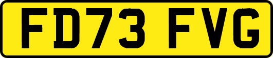 FD73FVG
