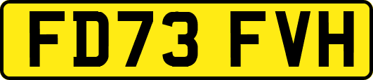 FD73FVH