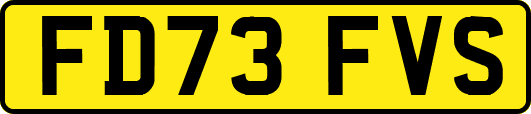 FD73FVS
