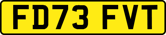 FD73FVT