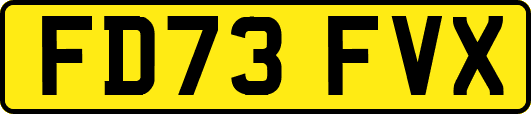 FD73FVX
