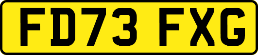 FD73FXG