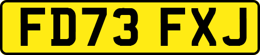 FD73FXJ