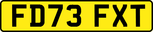 FD73FXT
