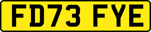 FD73FYE