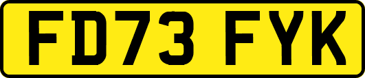 FD73FYK