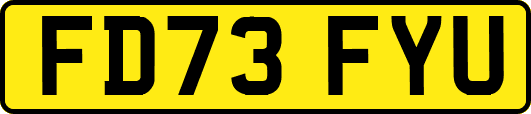 FD73FYU
