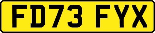 FD73FYX