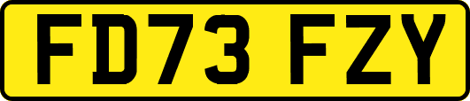 FD73FZY