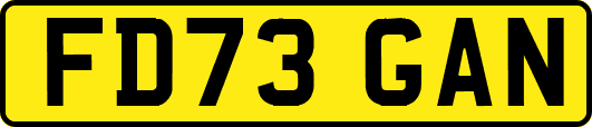 FD73GAN