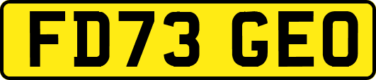 FD73GEO