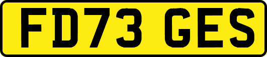 FD73GES