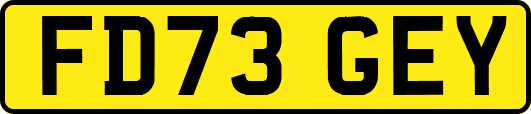 FD73GEY