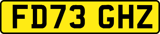 FD73GHZ