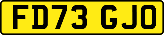 FD73GJO