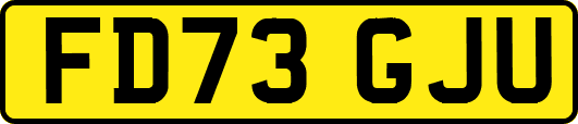 FD73GJU