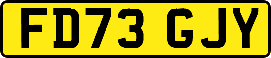 FD73GJY