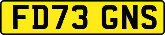 FD73GNS