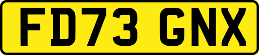 FD73GNX