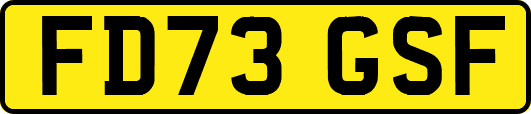 FD73GSF