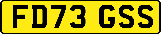FD73GSS