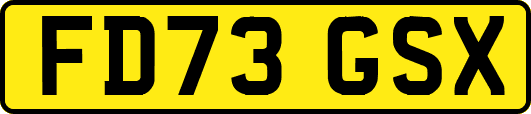 FD73GSX